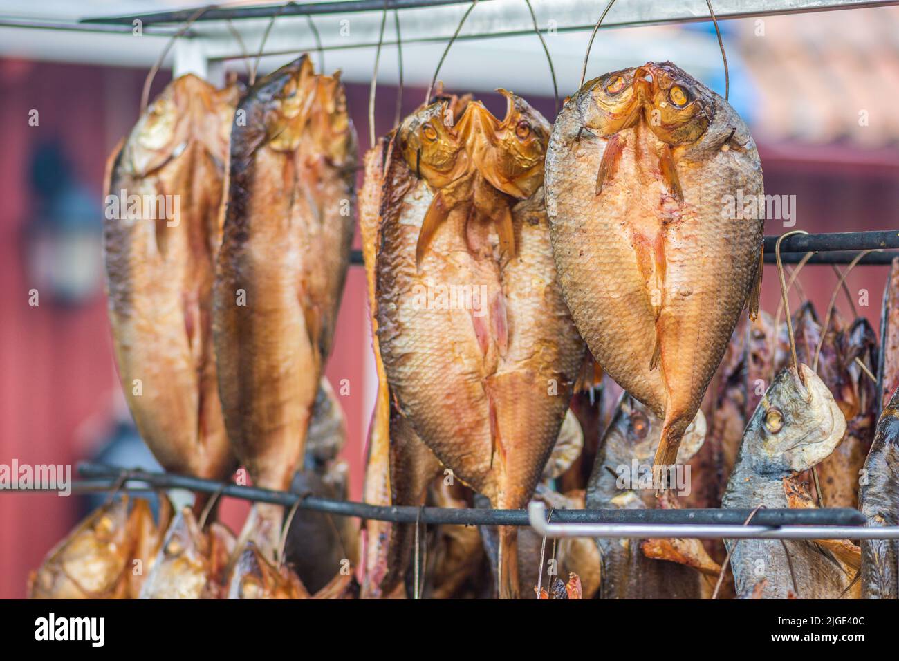 Hanging smokedried various fish in a fish market just smoked with