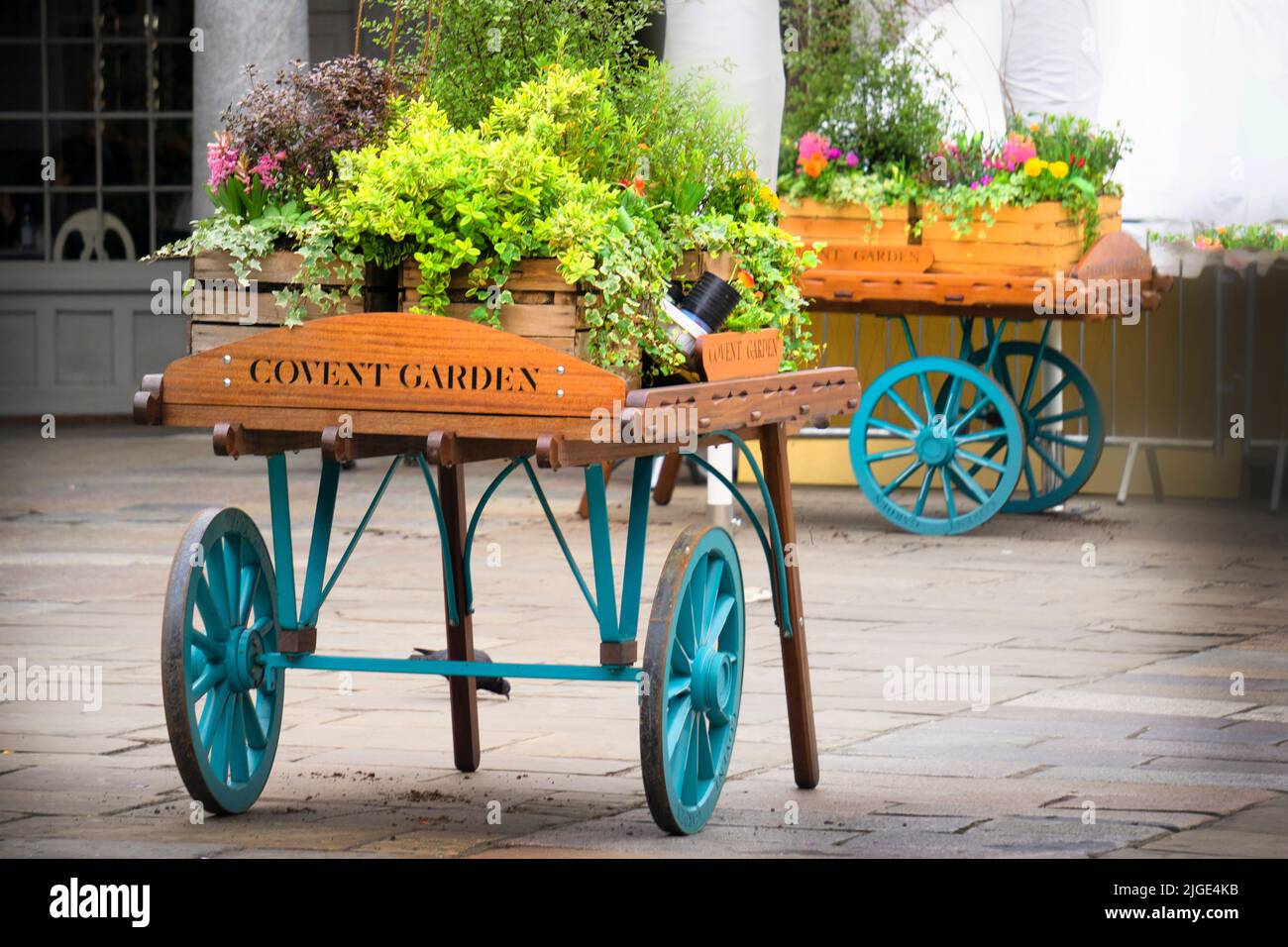 Various photos of the carts with flowers and greenery around Covent