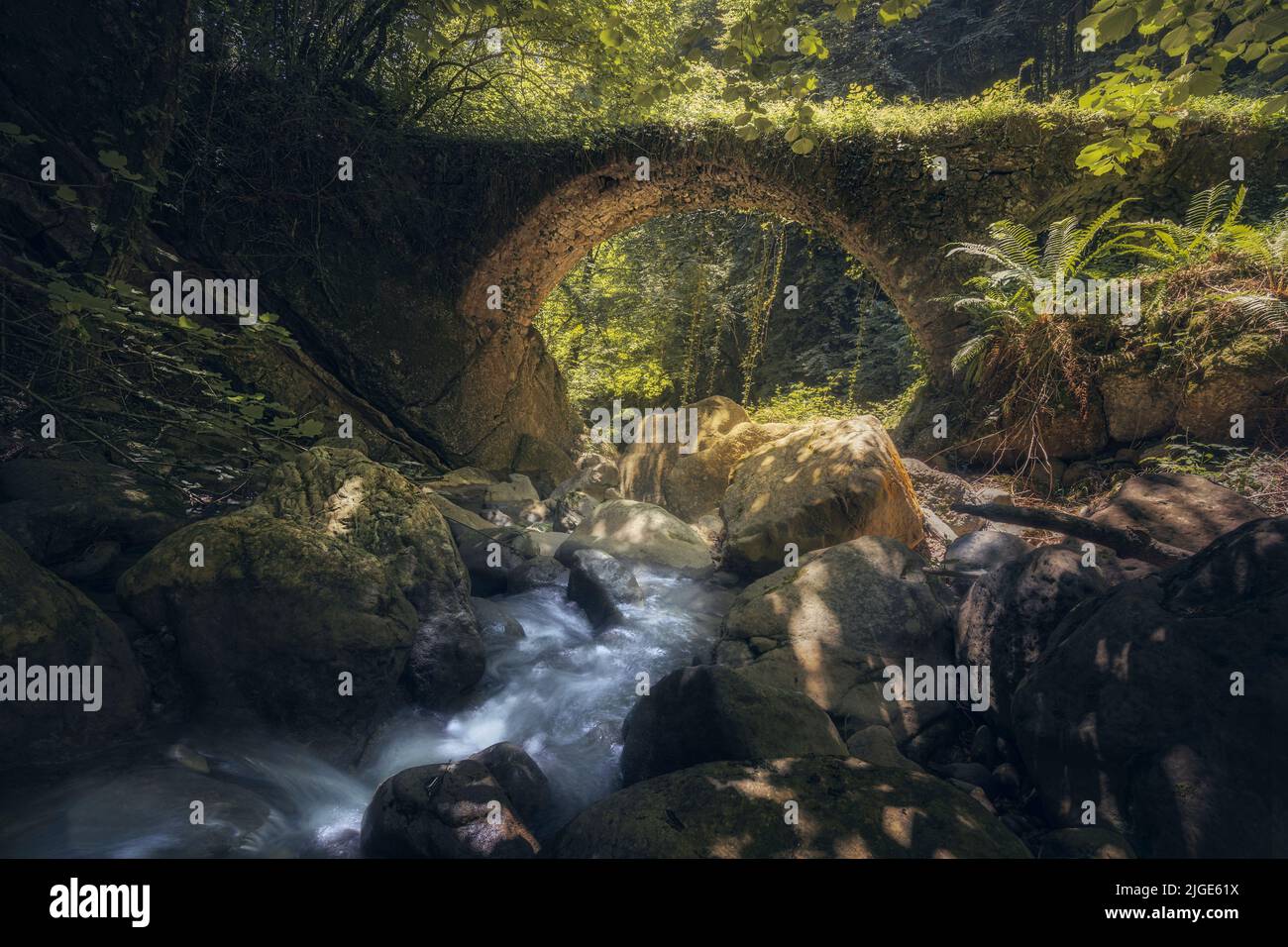 Fairy Tale Deep Forest with an Enchanting Stone Bridge Stock Photo