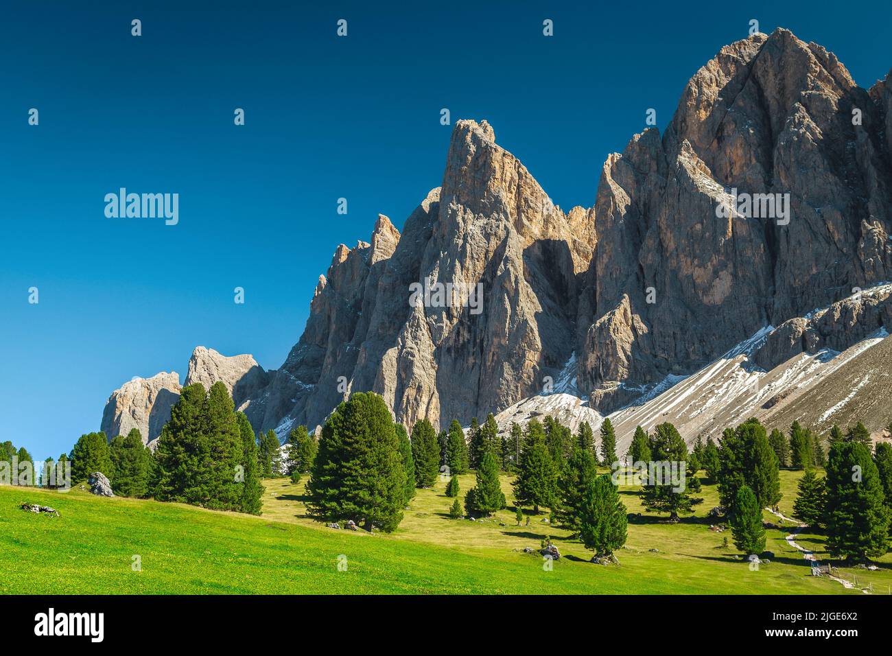 Summer alpine pasture, green grassland, pine trees and high snowy mountains in background, Geisler - Odle mountain group, Alto Adige, Dolomites, Italy Stock Photo