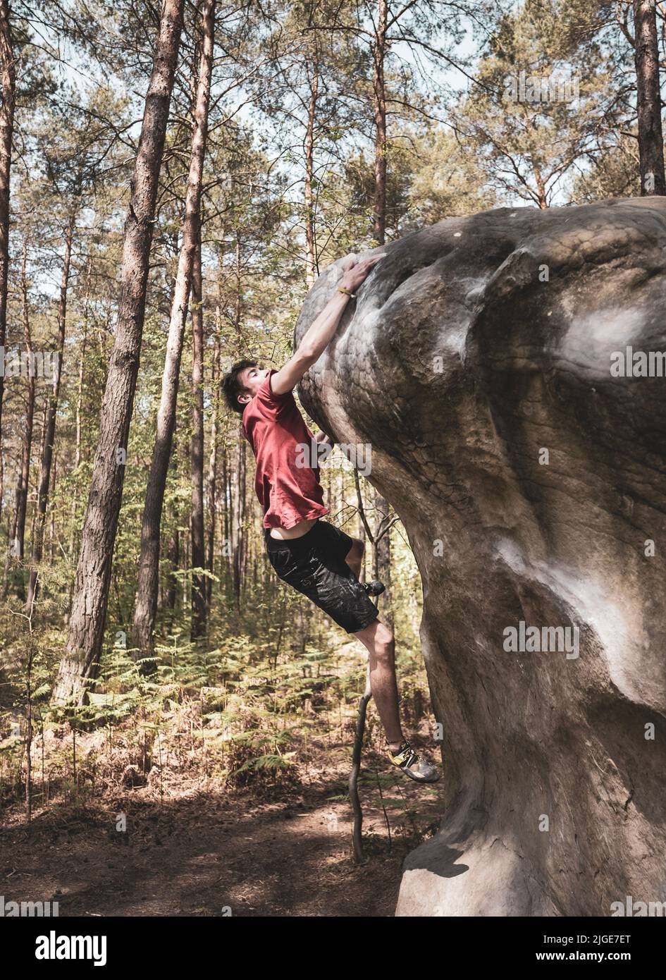 Athletic young man is jumping for top hold in famous and hard dyno boulder problem called 'Cannon Ball -7b'. Fontainbleau, France, Europe. Stock Photo