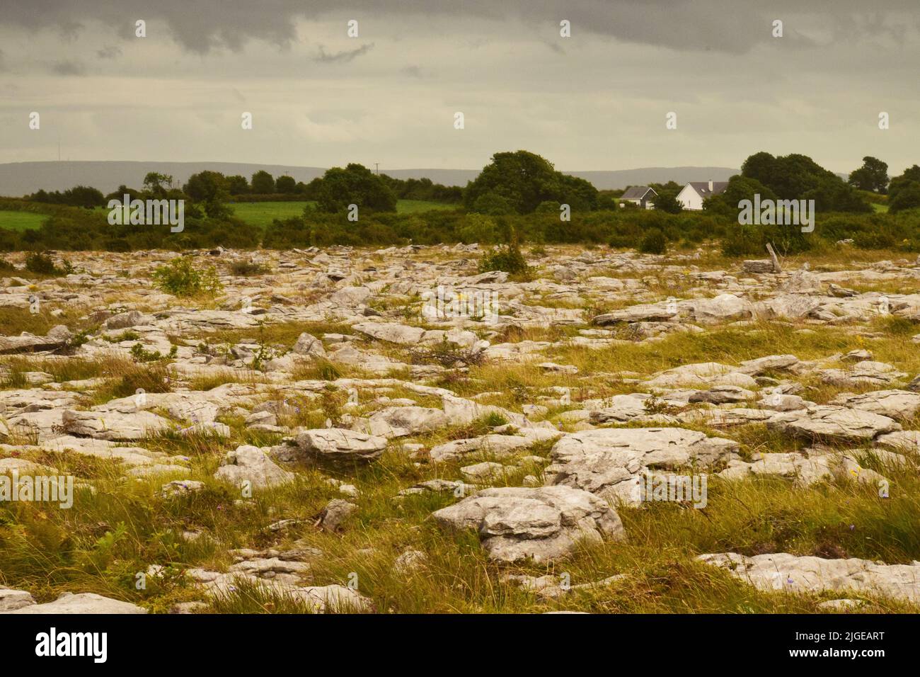 The Burren Landscape in County Clare, Ireland Stock Photo