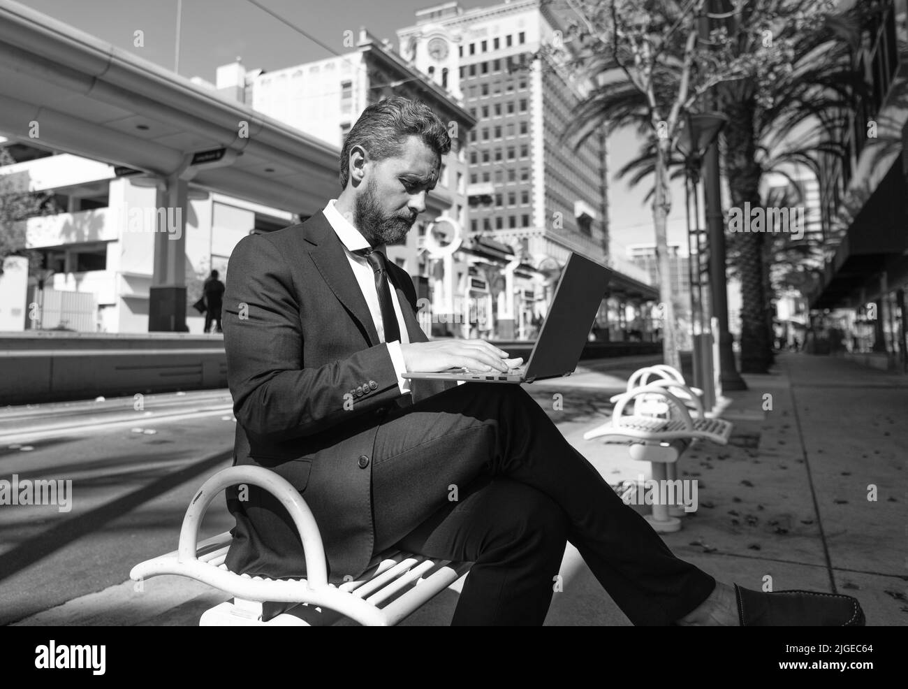 mature man businessman in suit sit on bench in outdoor city working online on laptop, office online Stock Photo