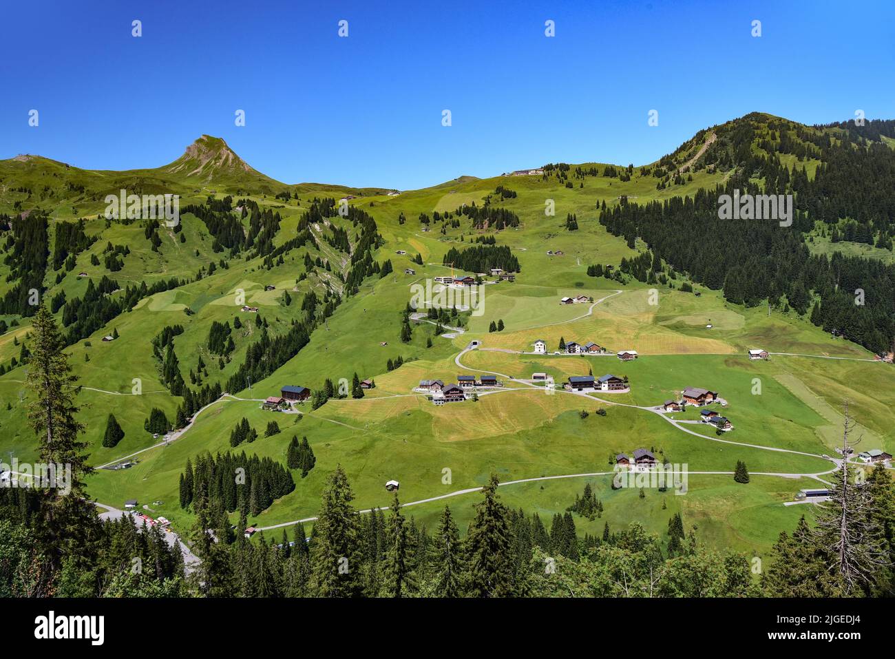 View of the Ugaalpe and the Mittagasspitze (2095 m) in the Damülser mountains in the Bregnzer forest, Vorarlberg, Austria, Europe Stock Photo