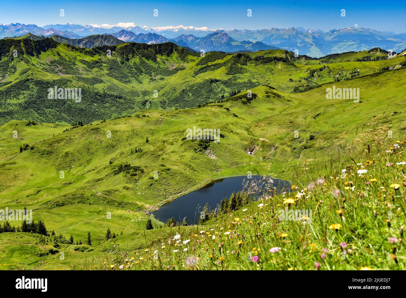 View of the Sünser See in the Damülser mountains in the Bregenz Forest, with the Swiss Alps in the background, Vorarlberg, Austria, Europe Stock Photo