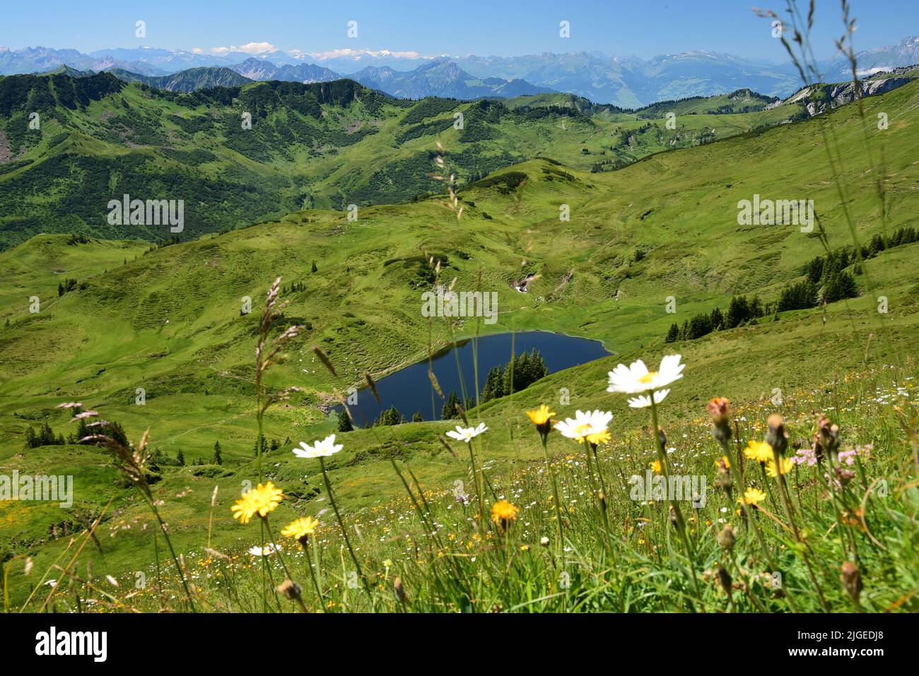 View of the Sünser See in the Damülser mountains in the Bregenz Forest, with the Swiss Alps in the background, Vorarlberg, Austria Europe Stock Photo