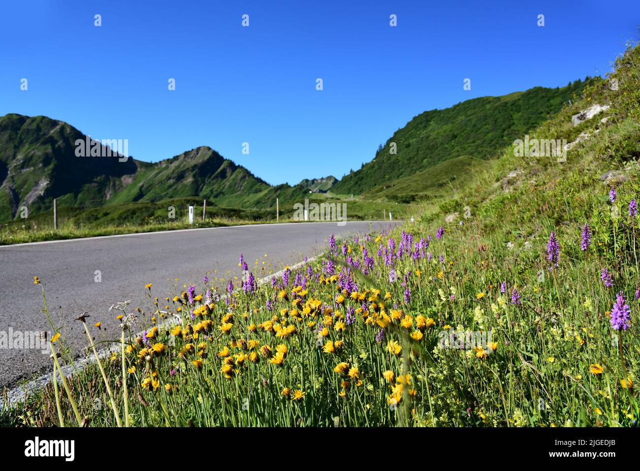 The Furka Pass in the Bregenz Forest, in the background the Furkajoch (1759 m), Vorarlberg, Austria Europe Stock Photo