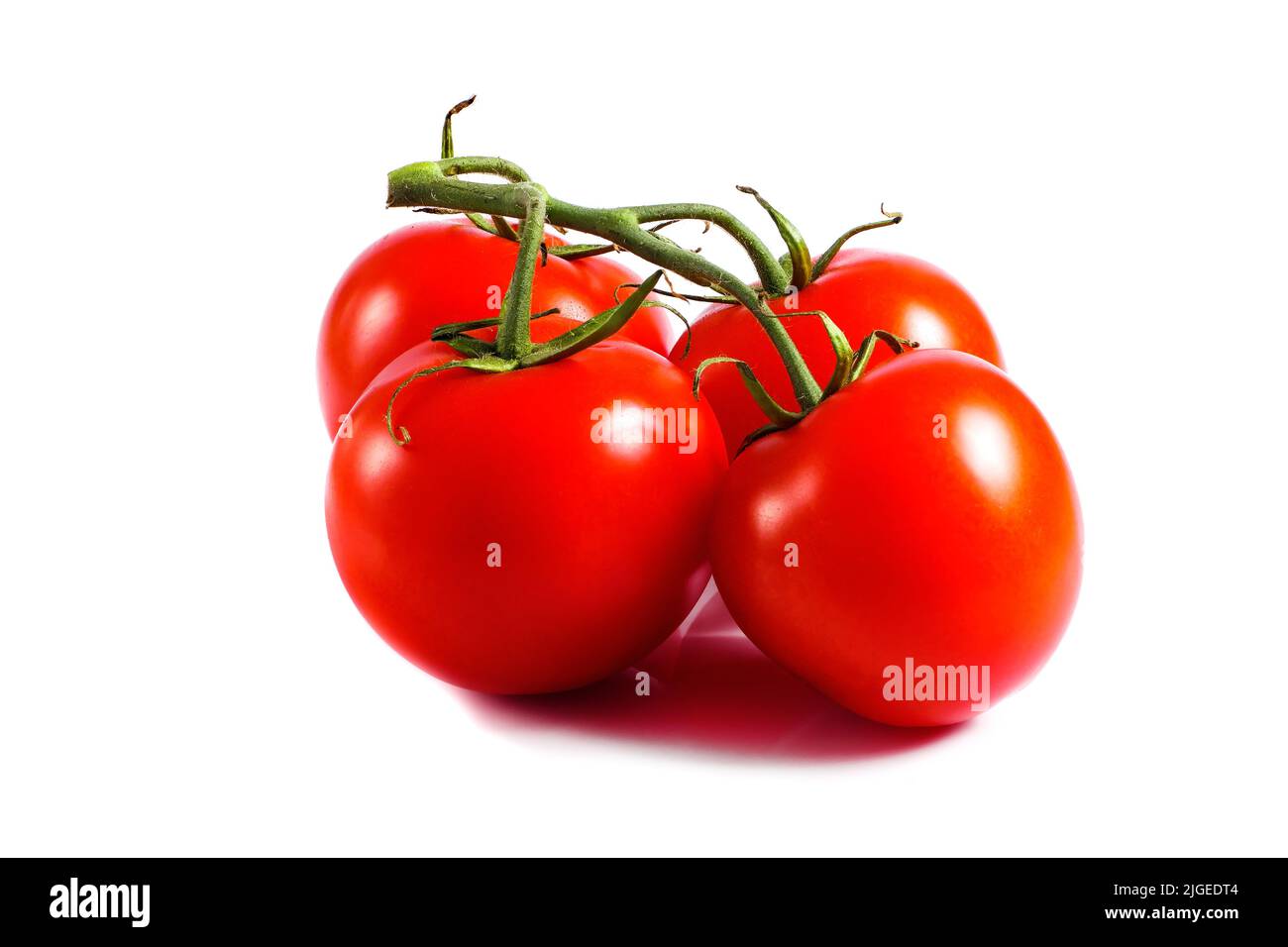 vine of ripe tomatoes isolated on white background Stock Photo - Alamy