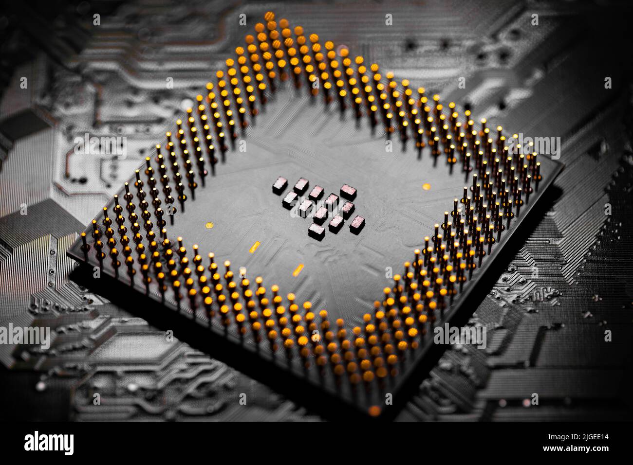 Macro Close up of microchips and pins on Main CPU PC processor circuit ...