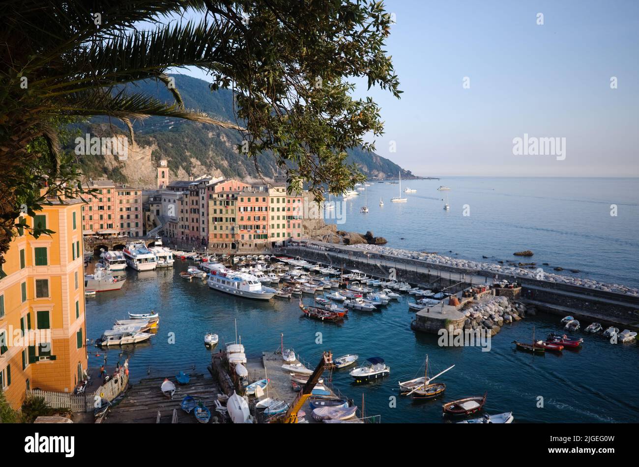 Marina with boats, yachts and ferries called Porticciolo di Camogli, Liguria, Italy. Harbor of Italian village on Mediterranean coast Stock Photo