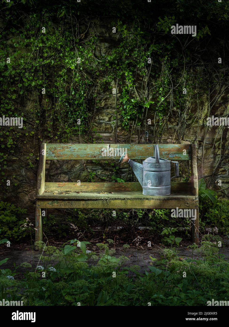 Antique watering can on old wooden bench in neglected garden, Pennsylvania, USA Stock Photo