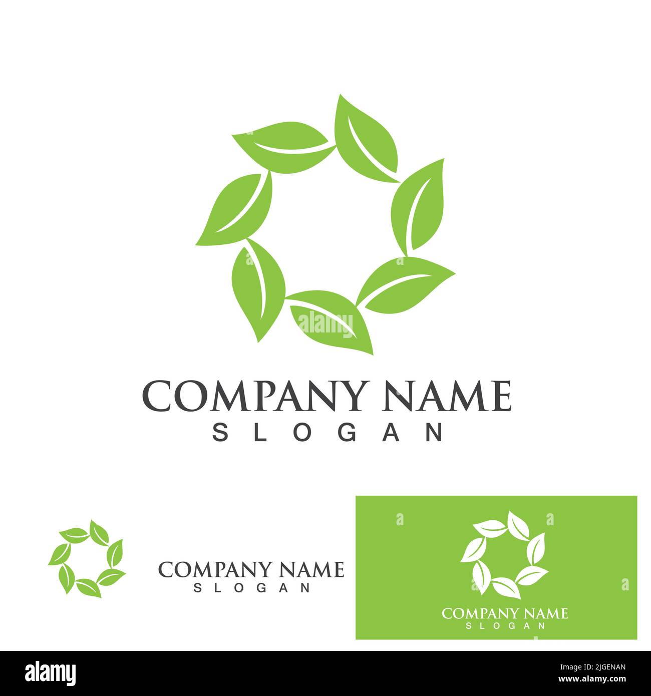 Leaf Circle Nature green logo vector icon design template Stock Vector ...