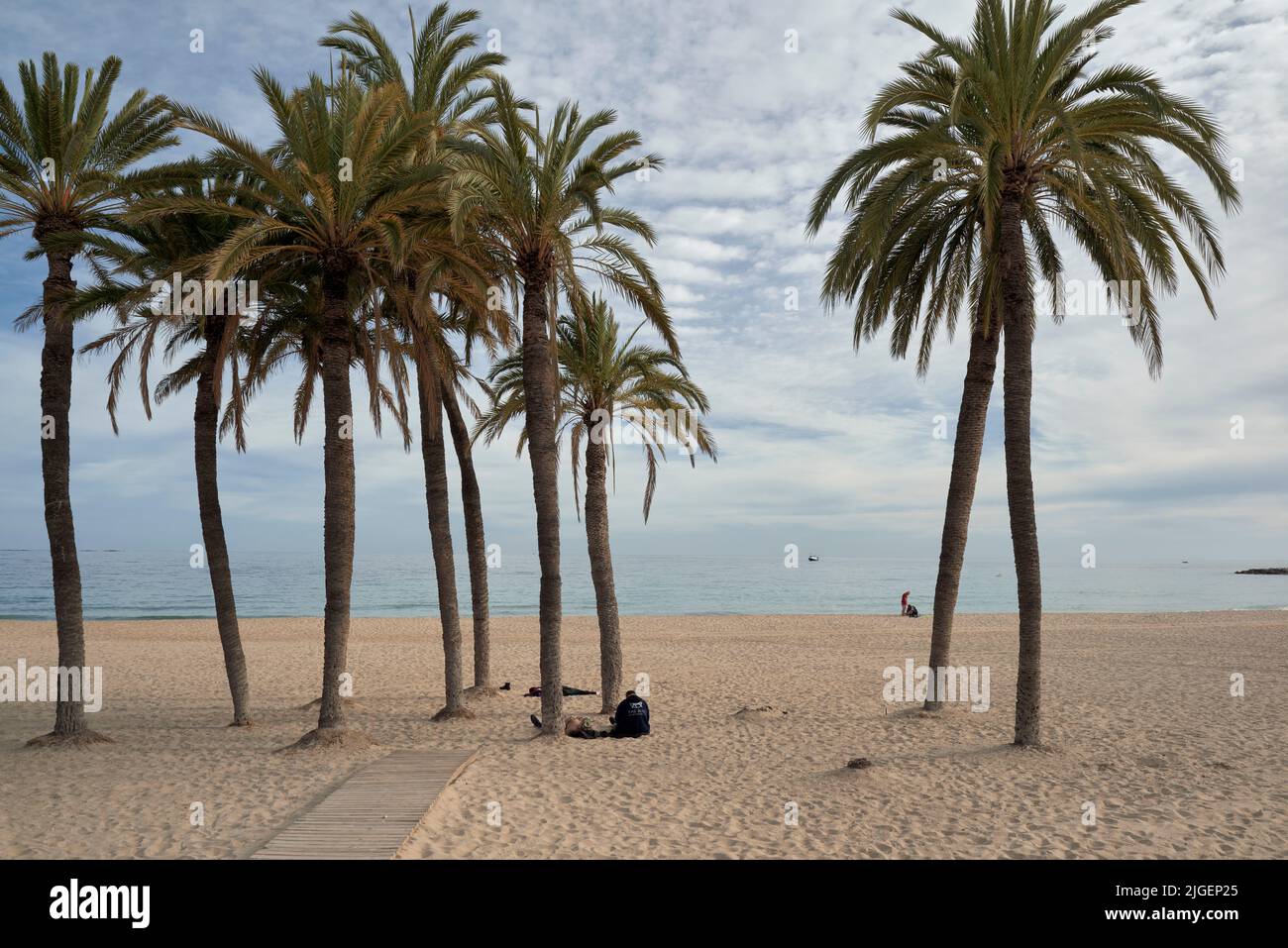 small sandy Mal Pas Beach in a place sheltered by palm trees with blue sun loungers in Benidorm, Alicante, Spain, Europe Stock Photo