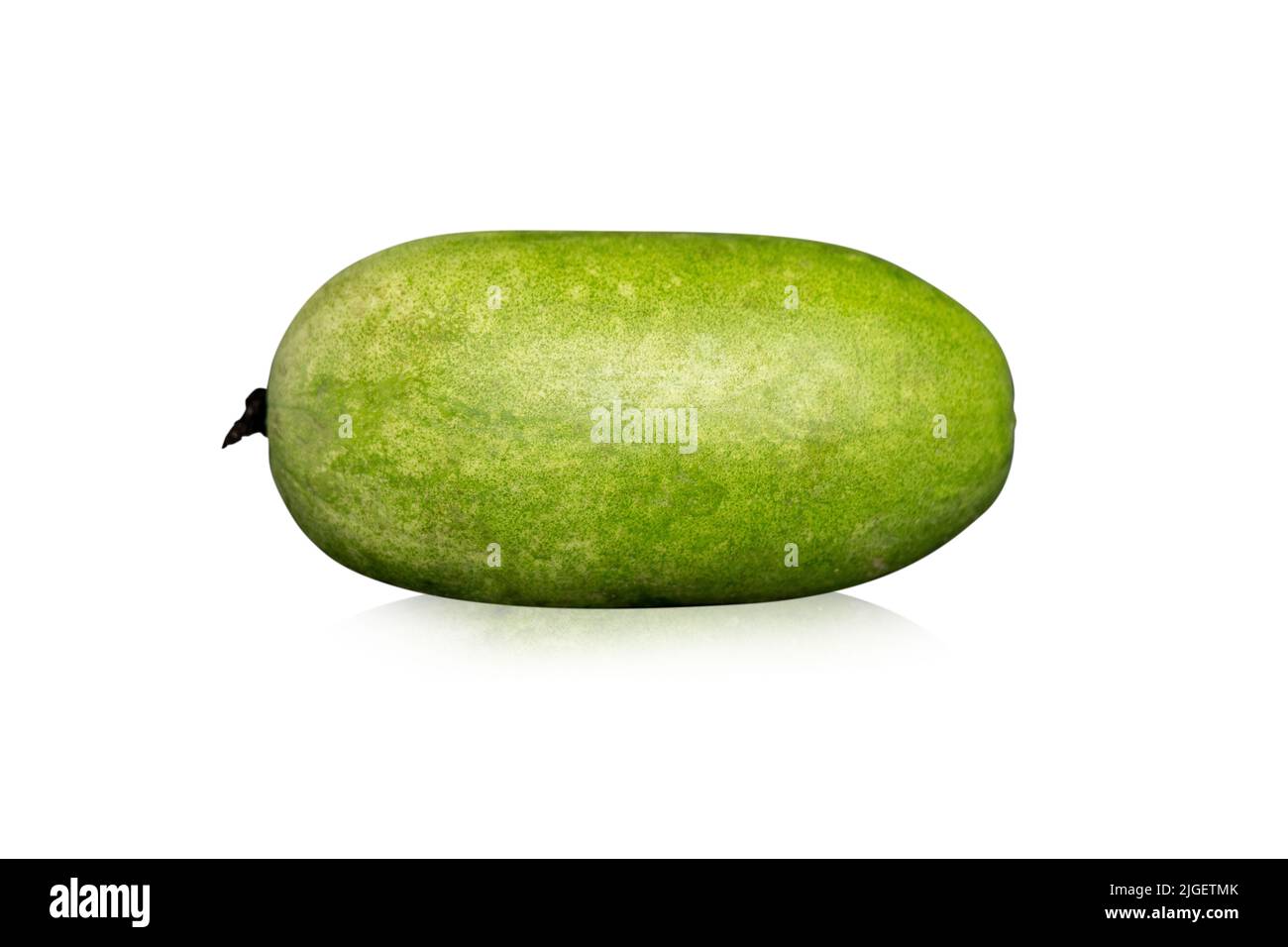 Winter Melon or White Gourd isolated on white background Stock Photo