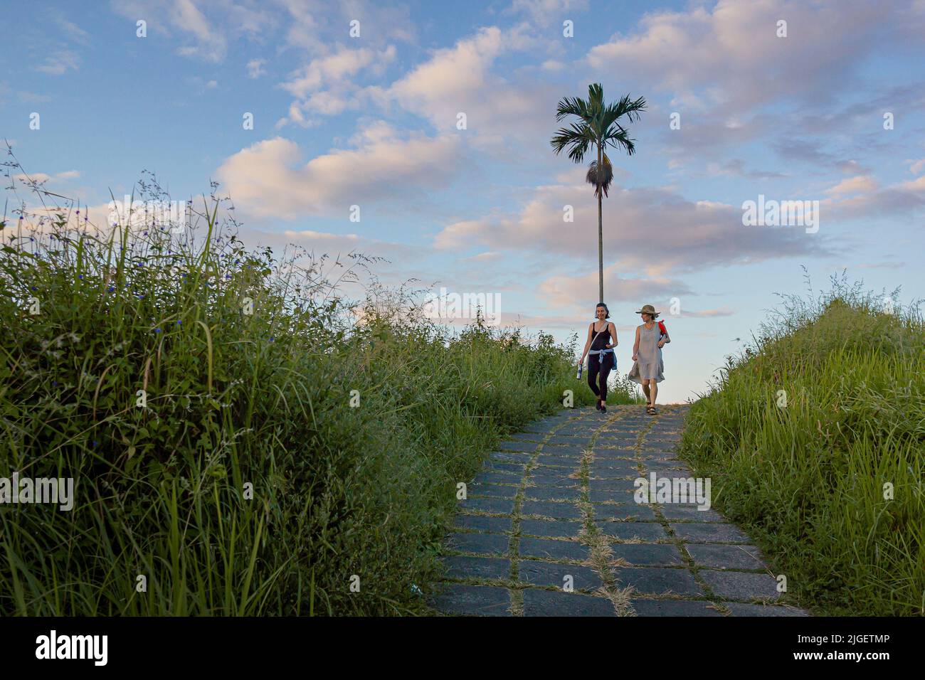 two ladies walking under a palm tree at the campuhan ridge walk an early morning, Bali, Indonesia. April 15, 2018 Stock Photo