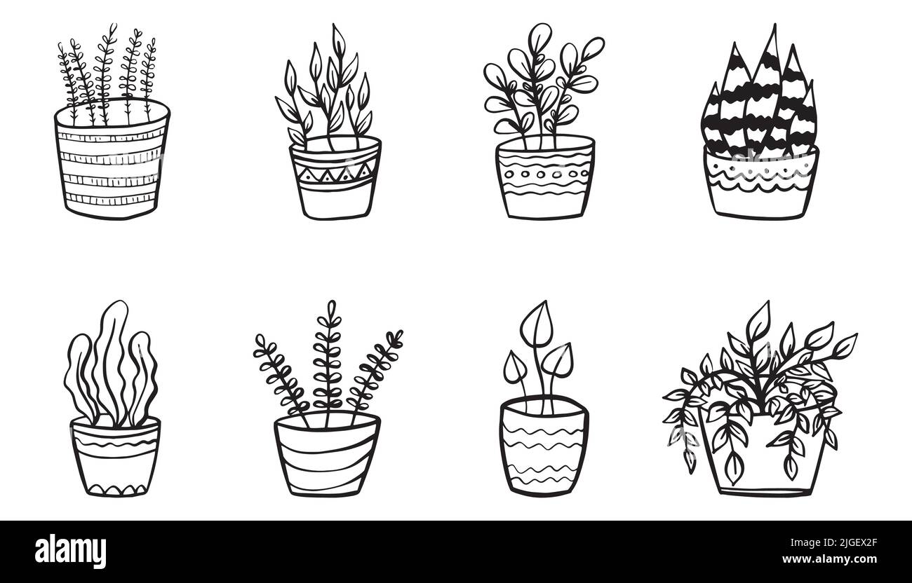 Set of simple doodle Vector houseplants and flowers in pots. Vector ...