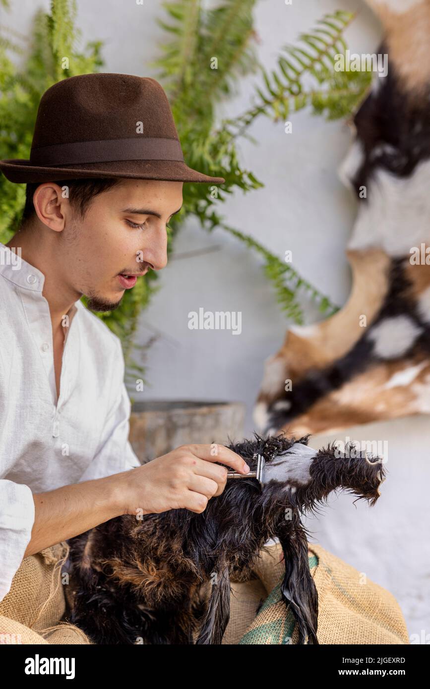 Chirche, Tenerife, 10 July 2022. Goatherd shaving the hair from a goat skin to reveal the leather beneath. Villagers celebrate the Día de tradiciones, Day of Traditions in the small mountain village where they renact scenes from the rural lifestyle lived by their ancestors in the 1940s Stock Photo