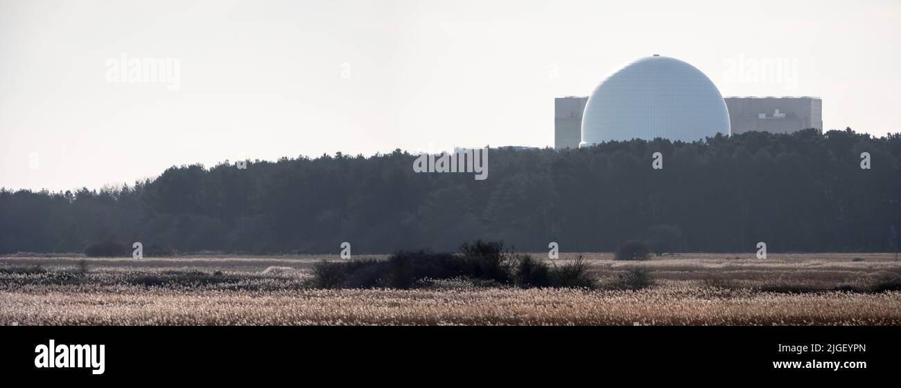 Sizewell Nuclear Power Stations on the horizon behind woodland with wetlands in foreground seen through slight shimmering heat haze Stock Photo