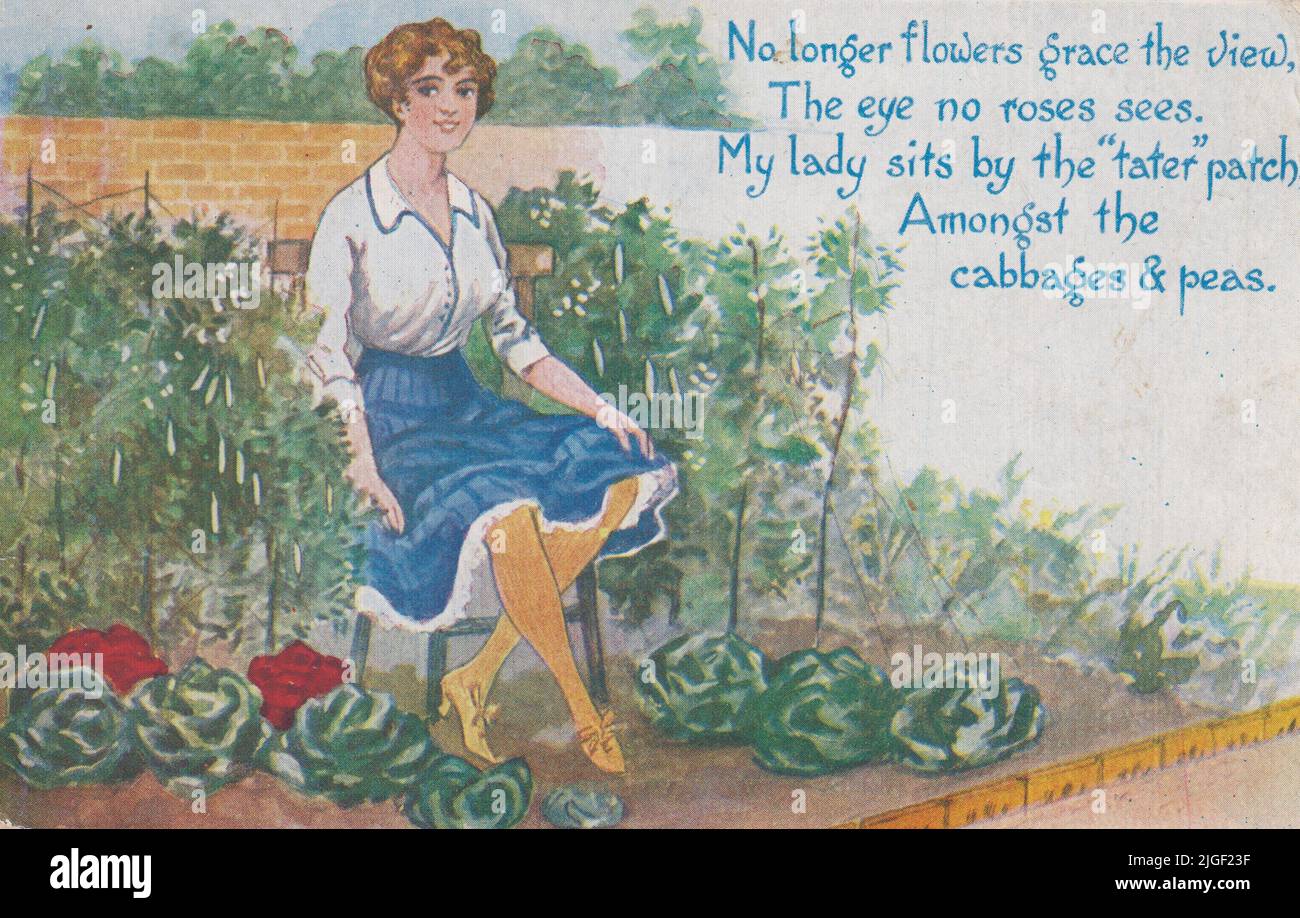 'No longer flowers grace the view, The eye no roses sees. My lady sits by the 'tater' patch Amongst the cabbages & peas': cartoon of a woman sitting in her former flower bed amongst potatoes, cabbages and peas. This First World War postcard was sent in 1915 and refers to the increase in people on the home front growing their own fruit and vegetables in response to increasing food prices and food shortages Stock Photo