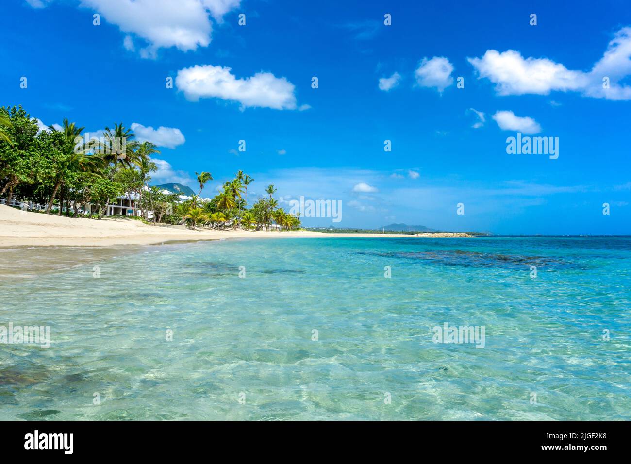 Playa Dorada in Puerto Plata Dominican Republic, Beautiful Tropical