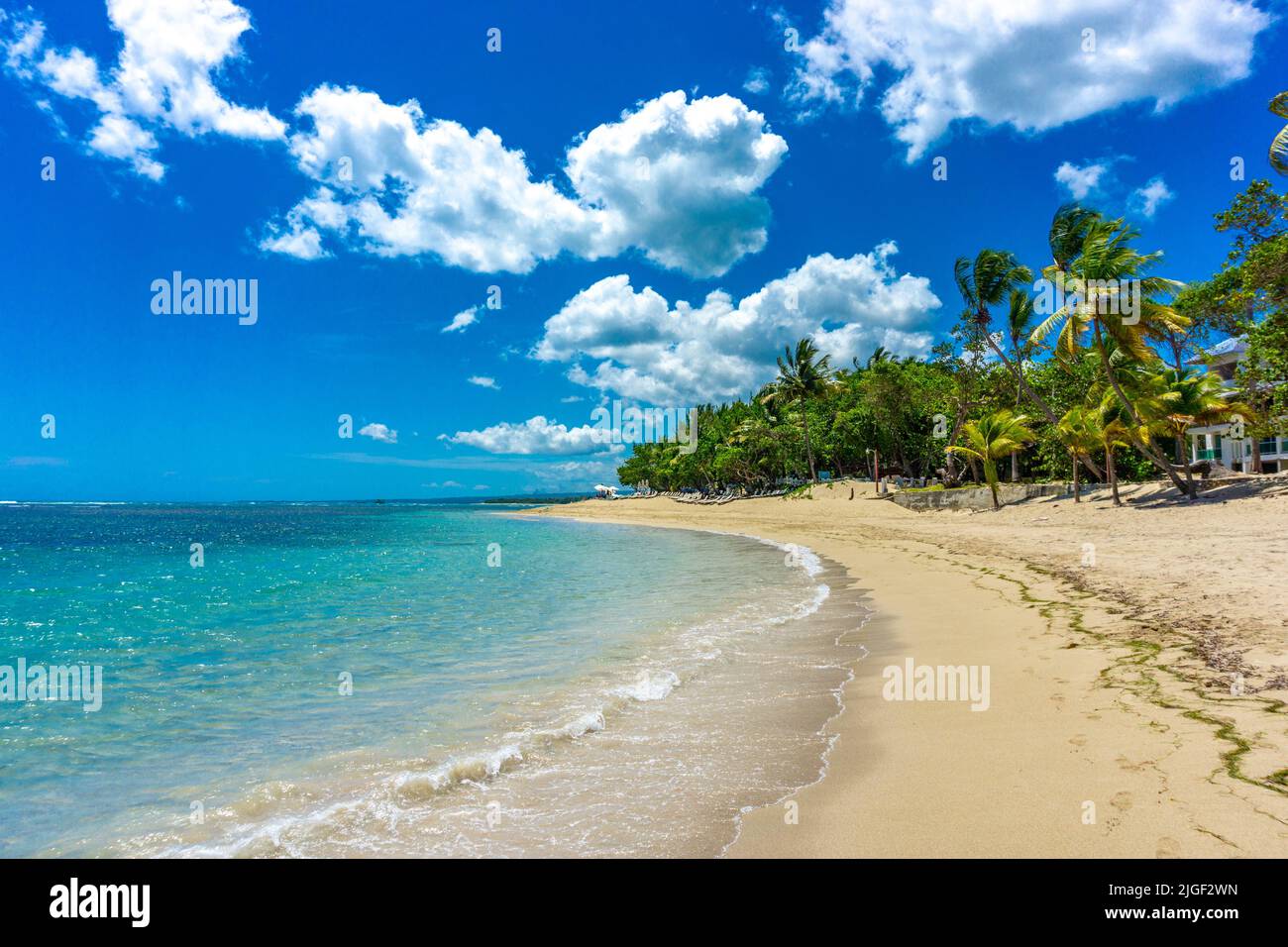 Playa Dorada in Puerto Plata Dominican Republic, Beautiful Tropical