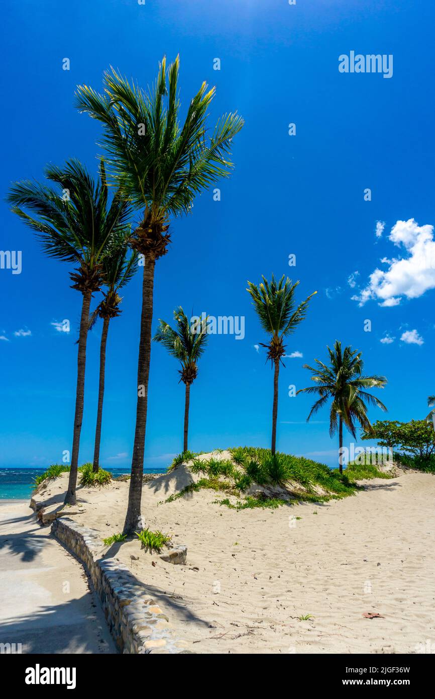 Playa Dorada in Puerto Plata Dominican Republic, Beautiful Tropical