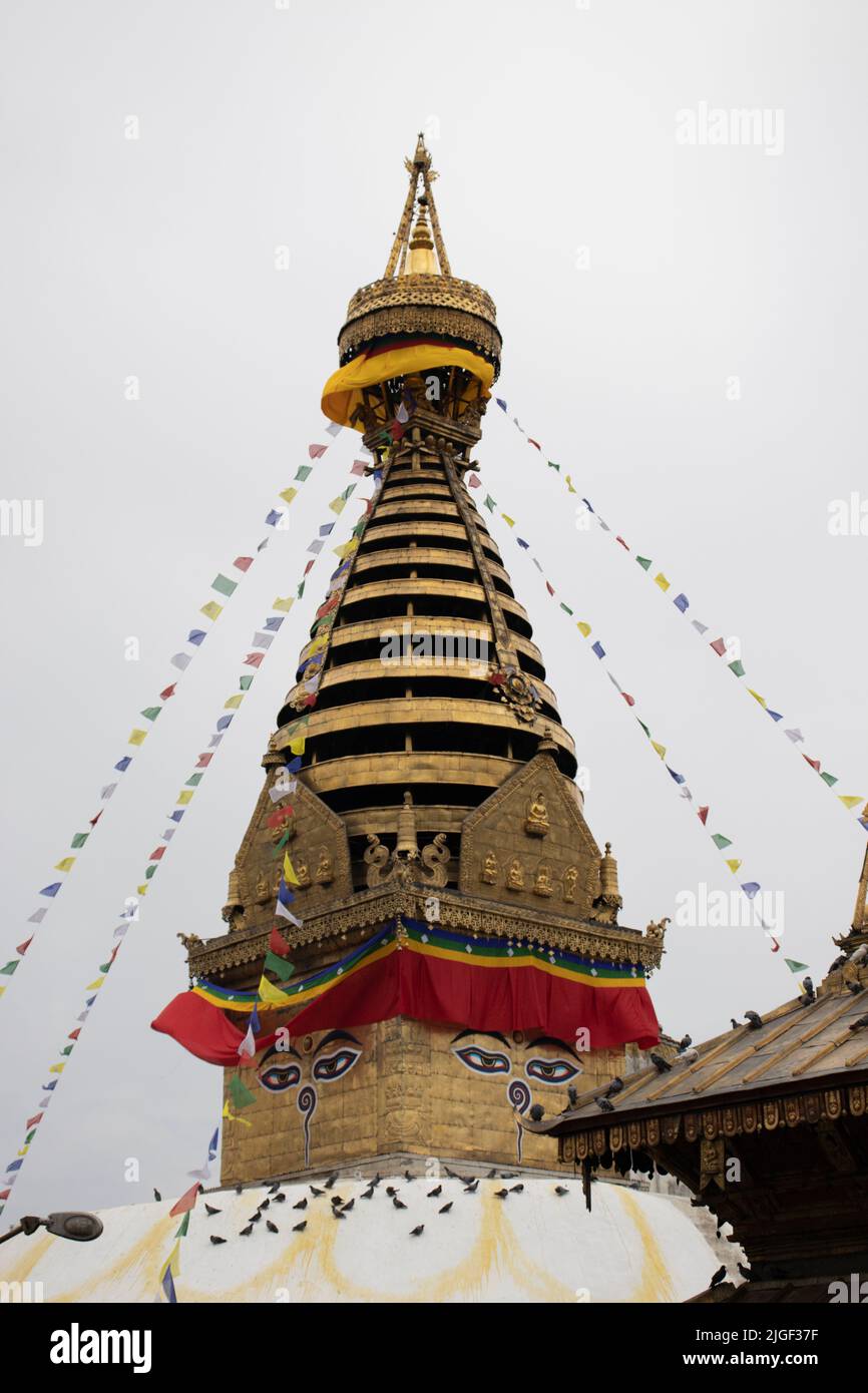 Swayambhunath Stupa Monkey Temple in Kathmandu Nepal Stock Photo - Alamy