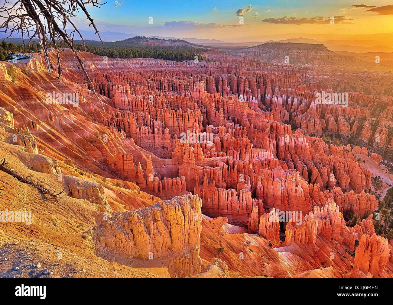 The grand canyon during a hot weather Stock Photo Alamy