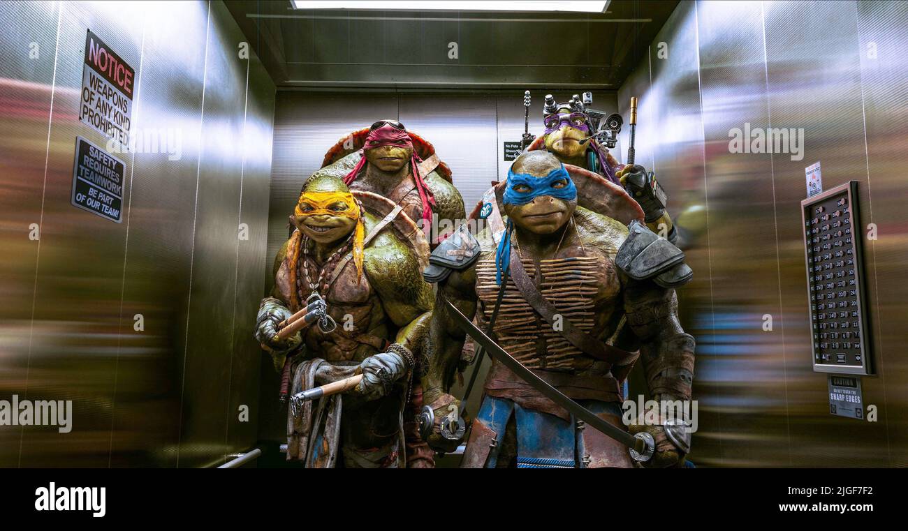 Teenage Mutant Ninja Turtles Leonardo Michelangelo Raphael