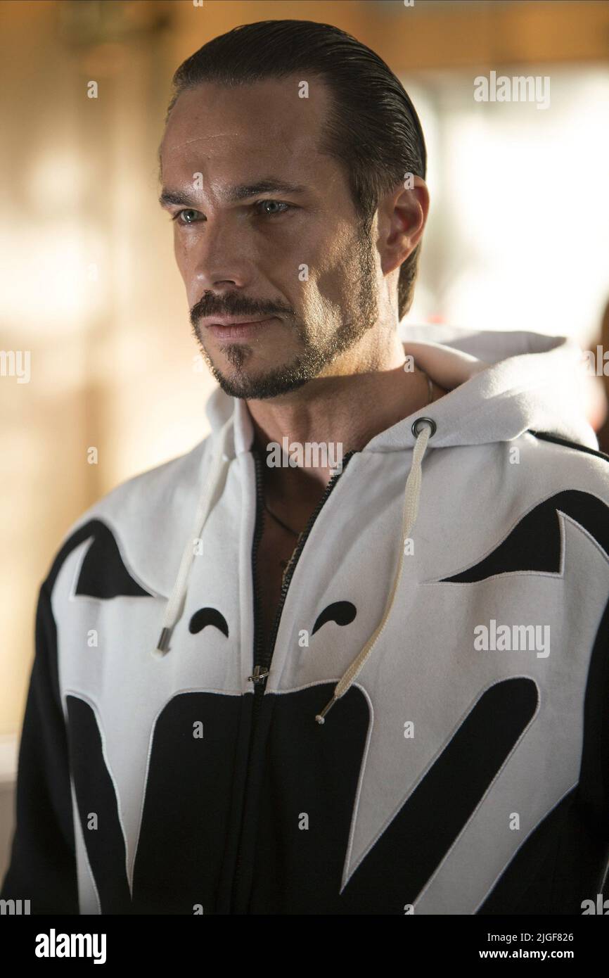 JAMES D'ARCY, LET'S BE COPS, 2014 Stock Photo