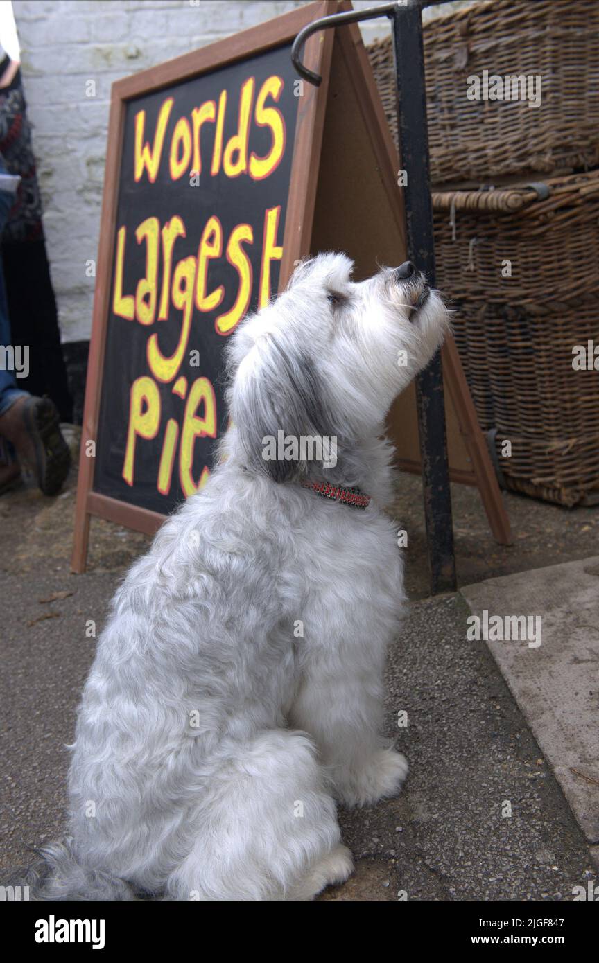 PUDSEY, PUDSEY THE DOG THE MOVIE, 2014 Stock Photo Alamy