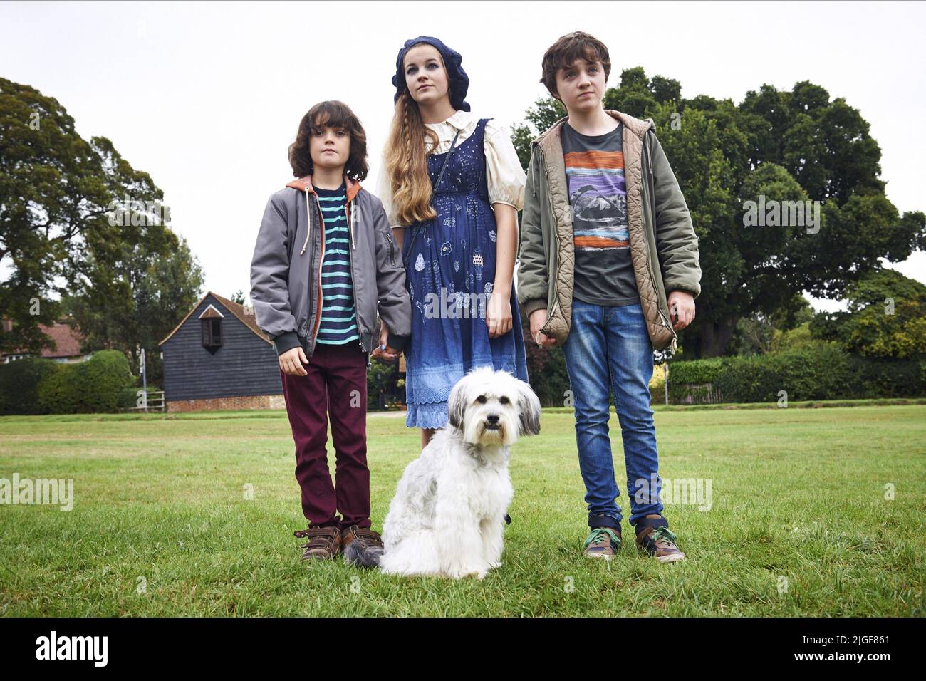 KNIGHTS,MEIKLE-SMALL,PUDSEY,WHITE, PUDSEY THE DOG: THE MOVIE, 2014 Stock Photo