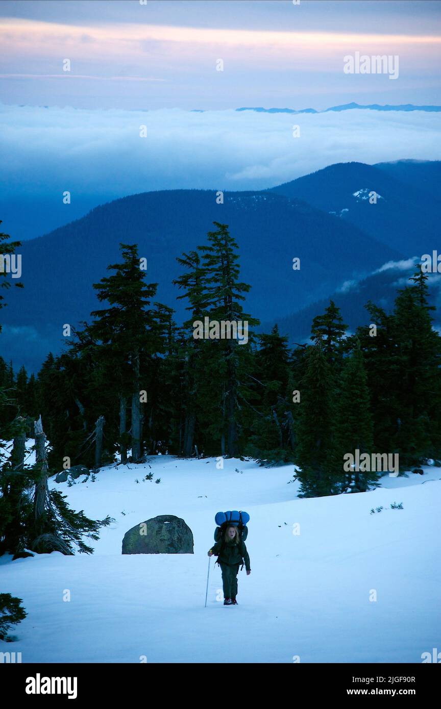 Wild (2014 film) visual data 7