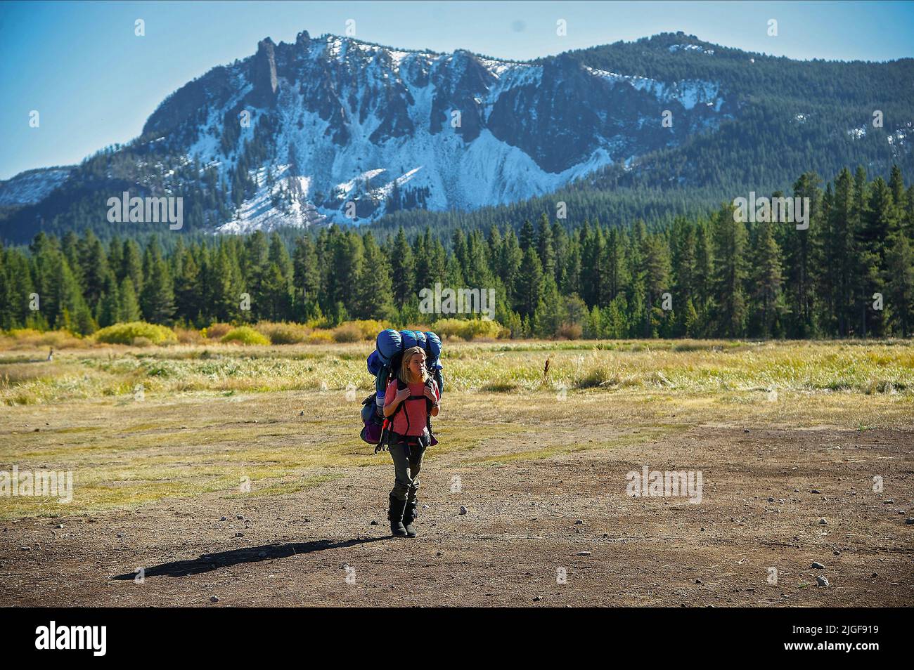 WILD 2014 FILM visual data 8