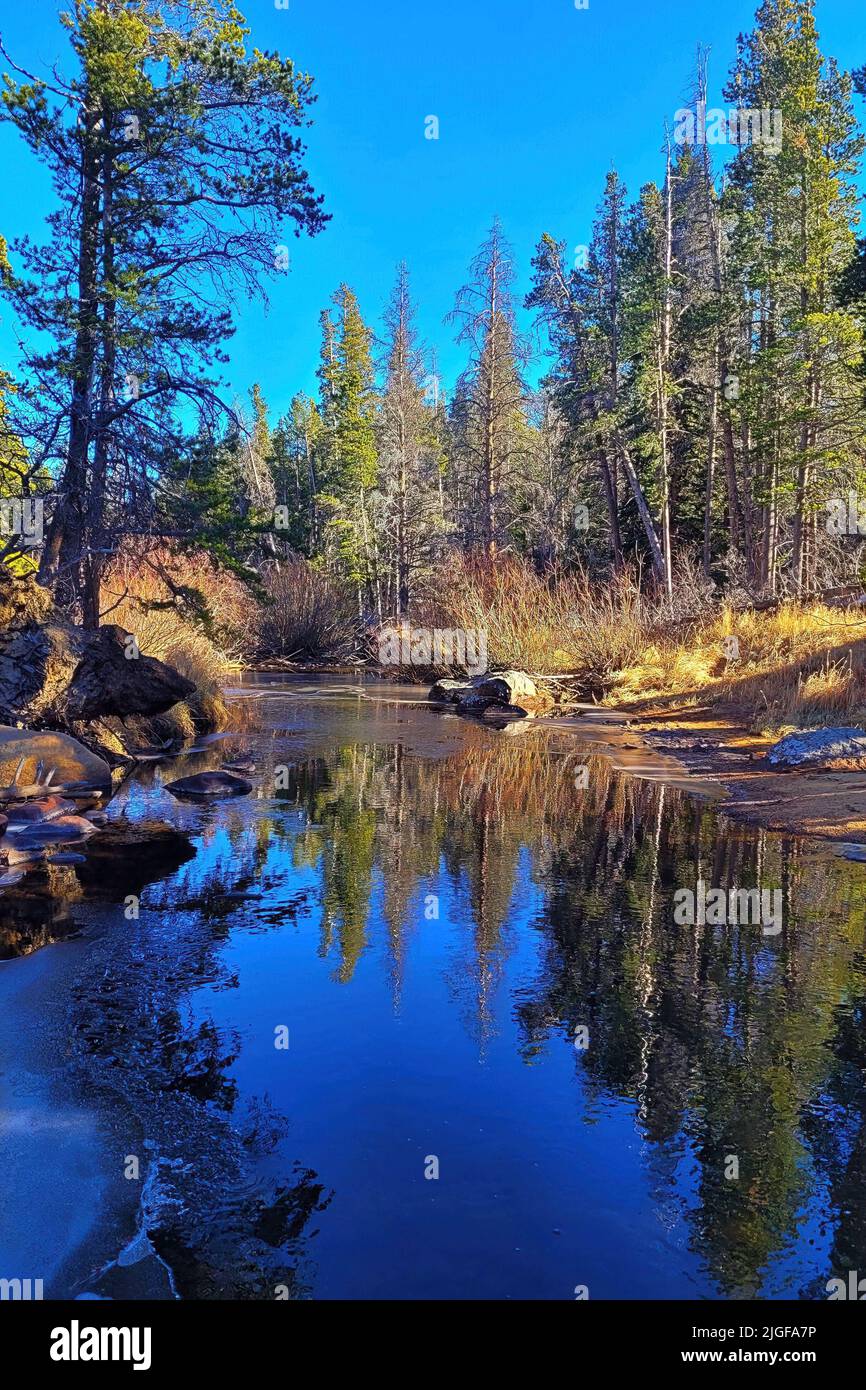 A reflection of the forest and rocks on the river Stock Photo - Alamy