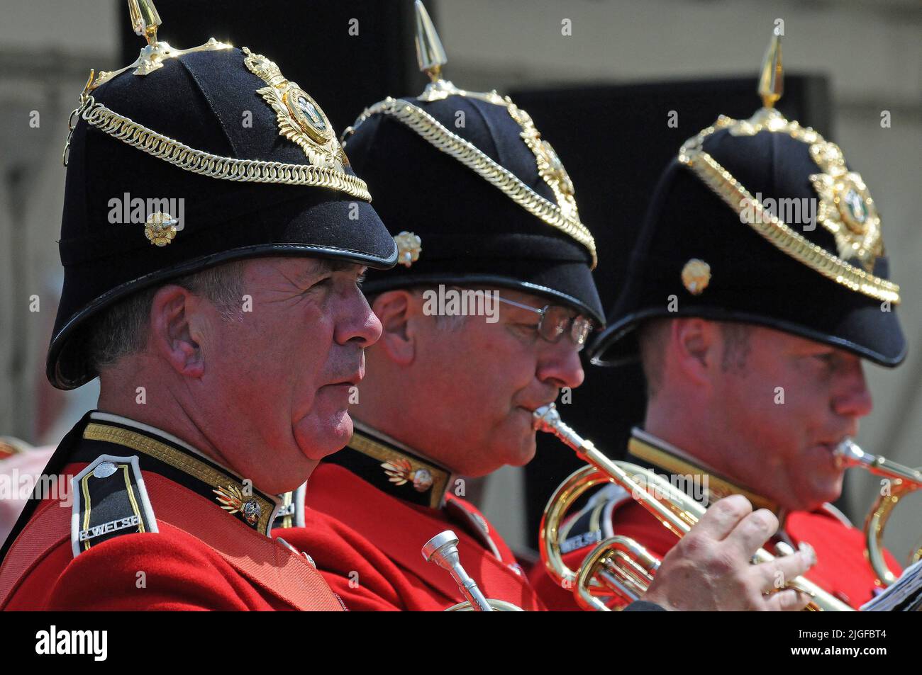 Bute Park, Armed Forces Day, 2015. Stock Photo