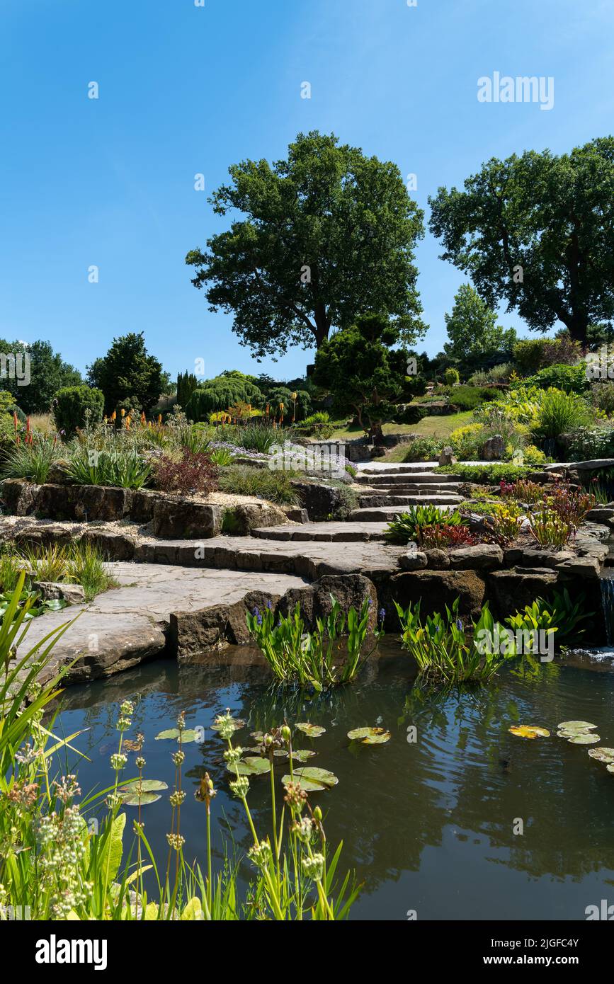 The Alpine Gardens at RHS Wisley, Surrey Stock Photo Alamy