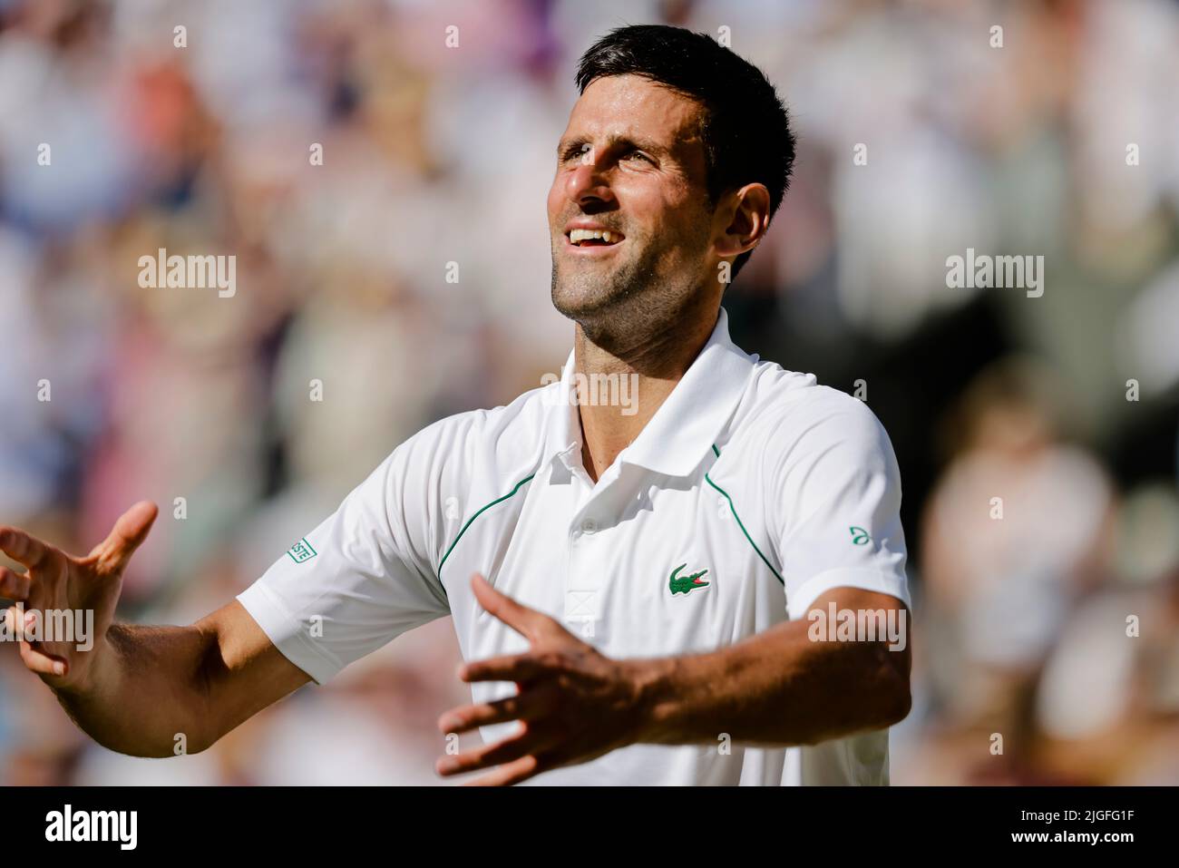 London, UK, 10th July 2022: Novak Djokovic is in action during the men´s final at the 2022 Wimbledon Championships at the All England Lawn Tennis and Croquet Club in London. Credit: Frank Molter/Alamy Live news Stock Photo