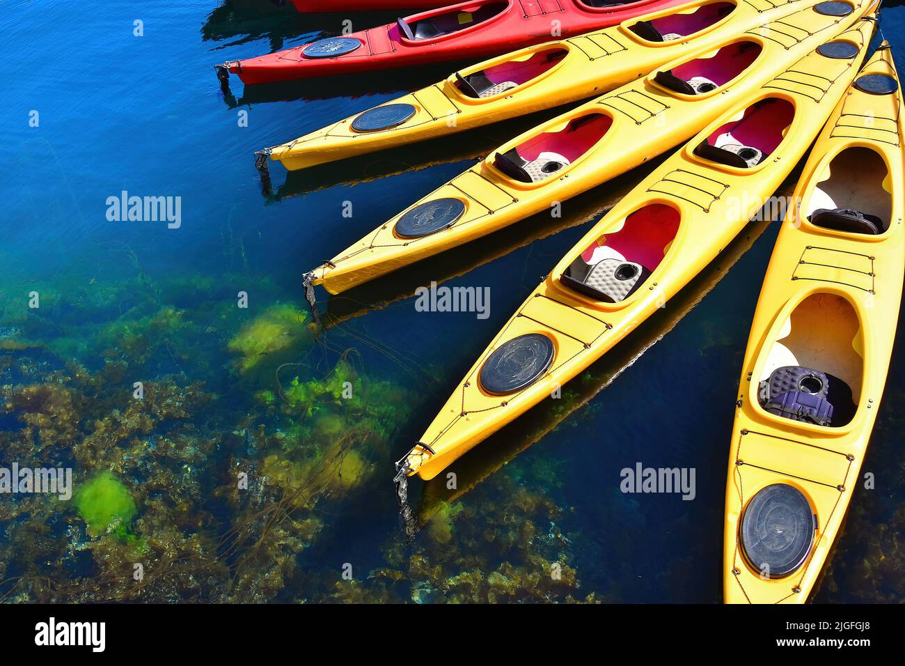 Colorful kayaks, in a row ,on the water in Alesund, Norway Stock Photo