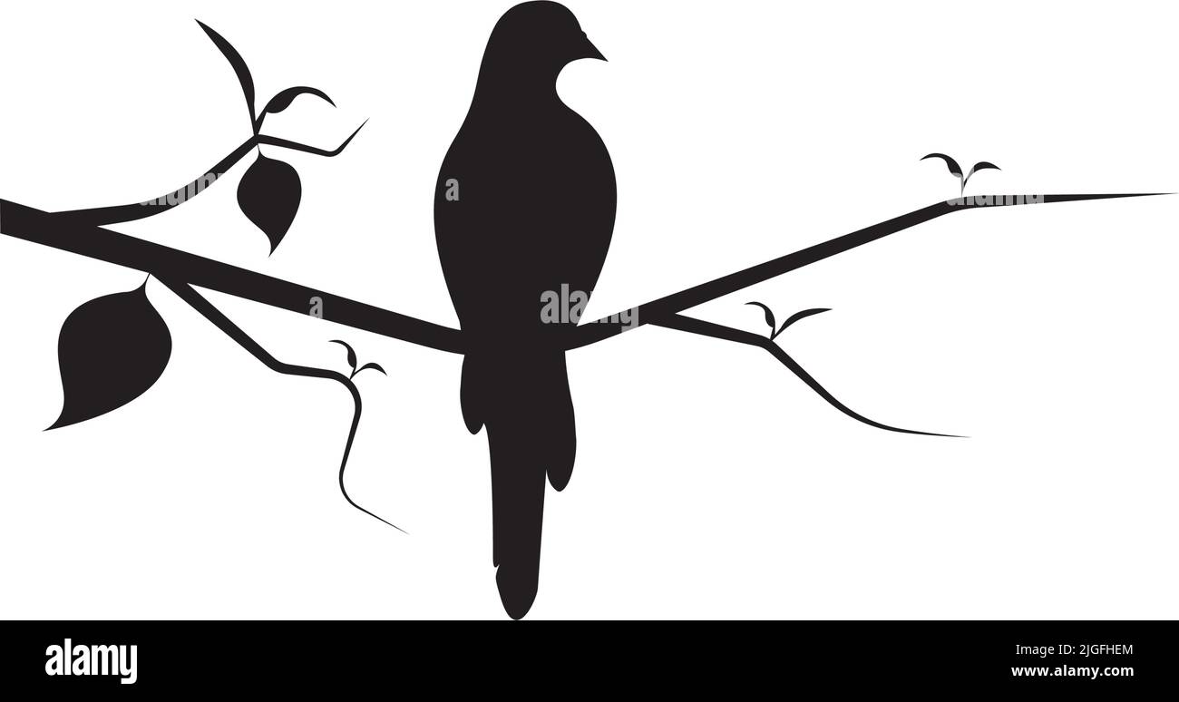 bird-silhouette-on-branch
