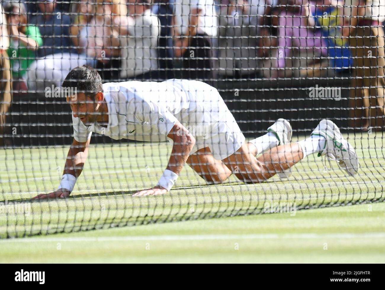 London, Gbr. 10th July, 2022. London Wimbledon Championships Day 10/07/2022 Novak Djokovic (SRB) celebrates on his knees as he wins Mens Singles Final beating Nick Kyrgios (AUS) in four sets Credit: Roger Parker/Alamy Live News Stock Photo