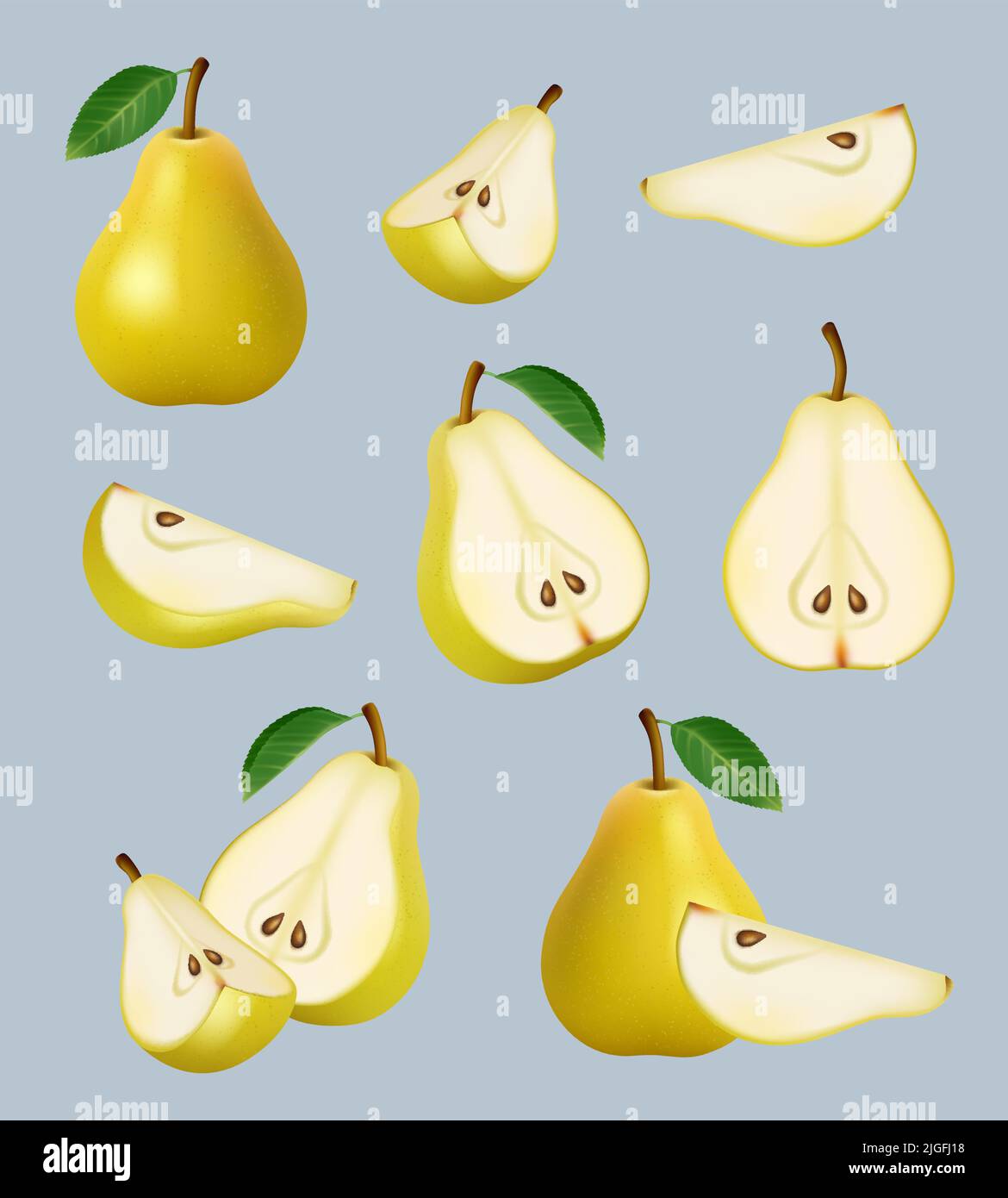 Pear realistic. Sliced helthy fruit diet dessert decent vector garden botanical pears collection Stock Vector