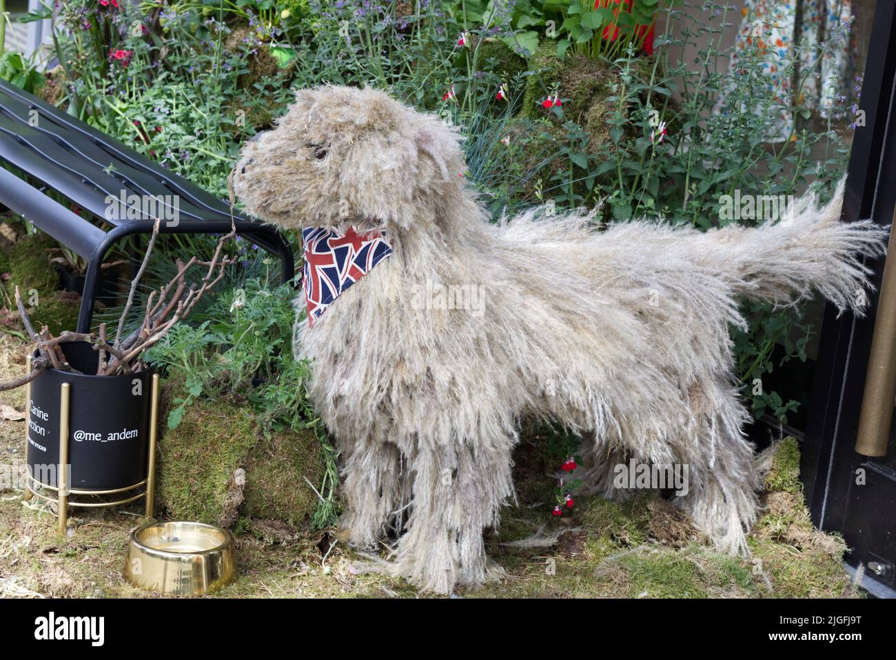 dog made from Cortaderia selloana, Pampas grass Stock Photo