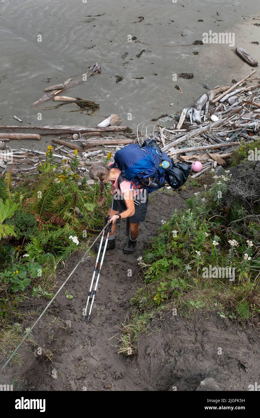 WA20557-00....WASHINGTON - Backpacker crossing a muddy beach head with the aid of a rope in Olympic National Park. MR# S1 Stock Photo