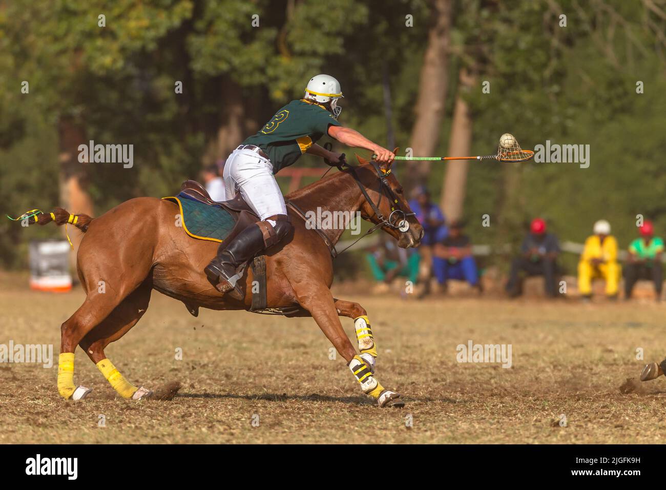 Player horse pony rider unrecognizable carries ball with racket off the ground action play at polo-cross game. Stock Photo