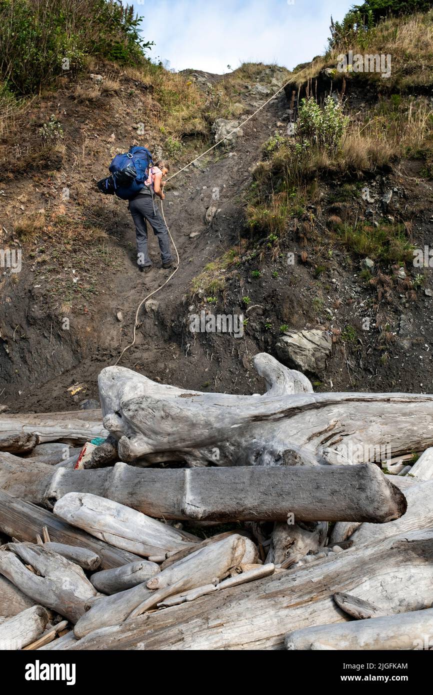 WA20568-00....WASHINGTON - Backpacker crossing a muddy headland north of Cape Johnson  along the  wilderness coast of Olympic National Park. Stock Photo