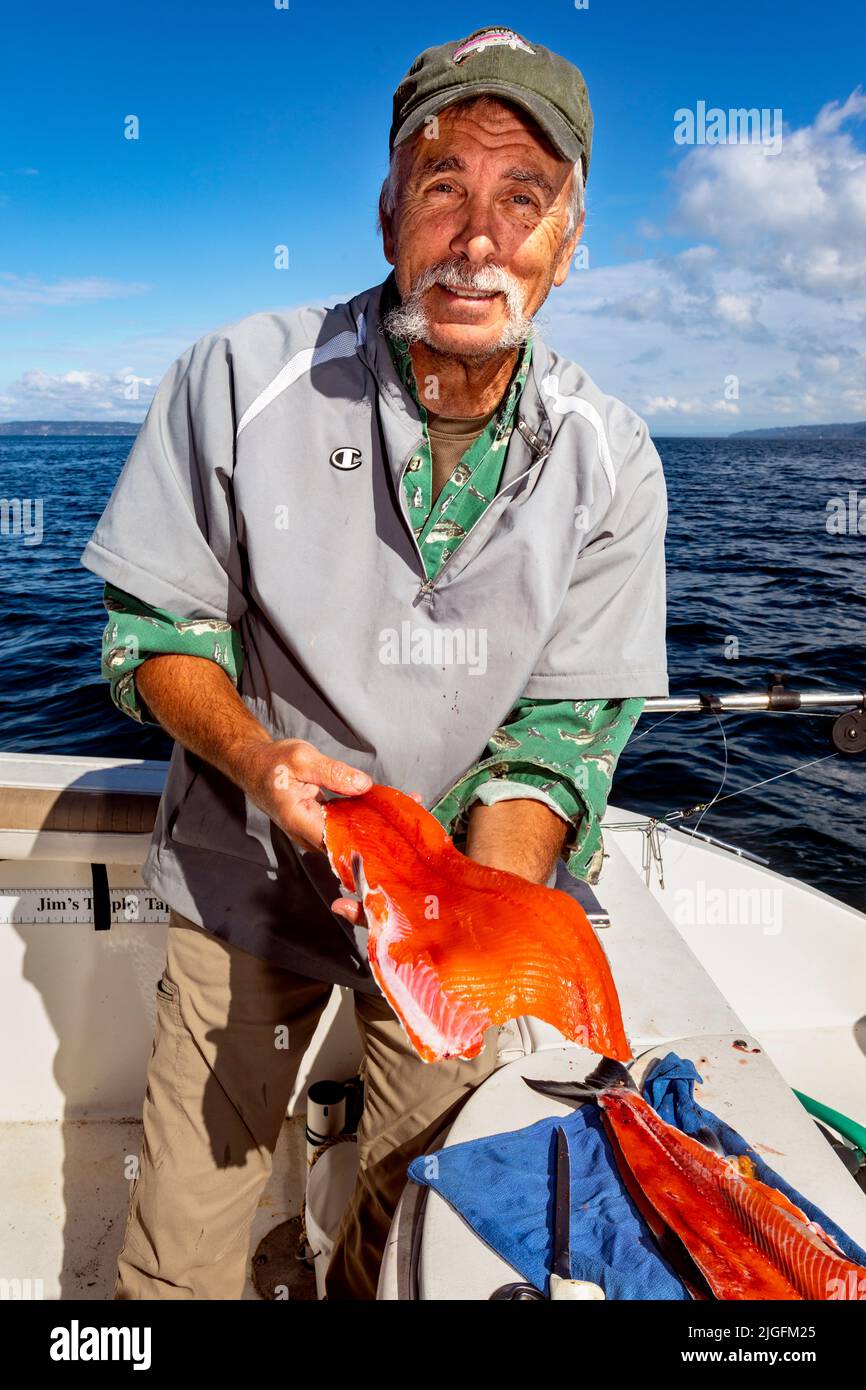 WA20636-00....WASHINGTON - Phil Russell flays a fresh caught salmon  from the Puget Sound.  MR #R8 Stock Photo