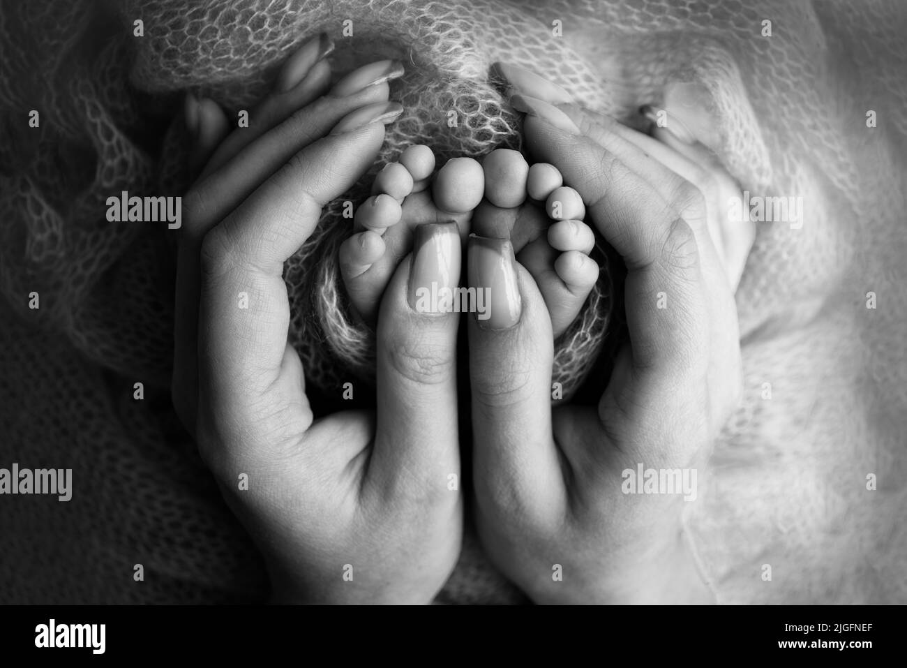 The palms of the father, the mother are holding the foot of the newborn baby. Feet of baby on the palms of the parents.  Stock Photo