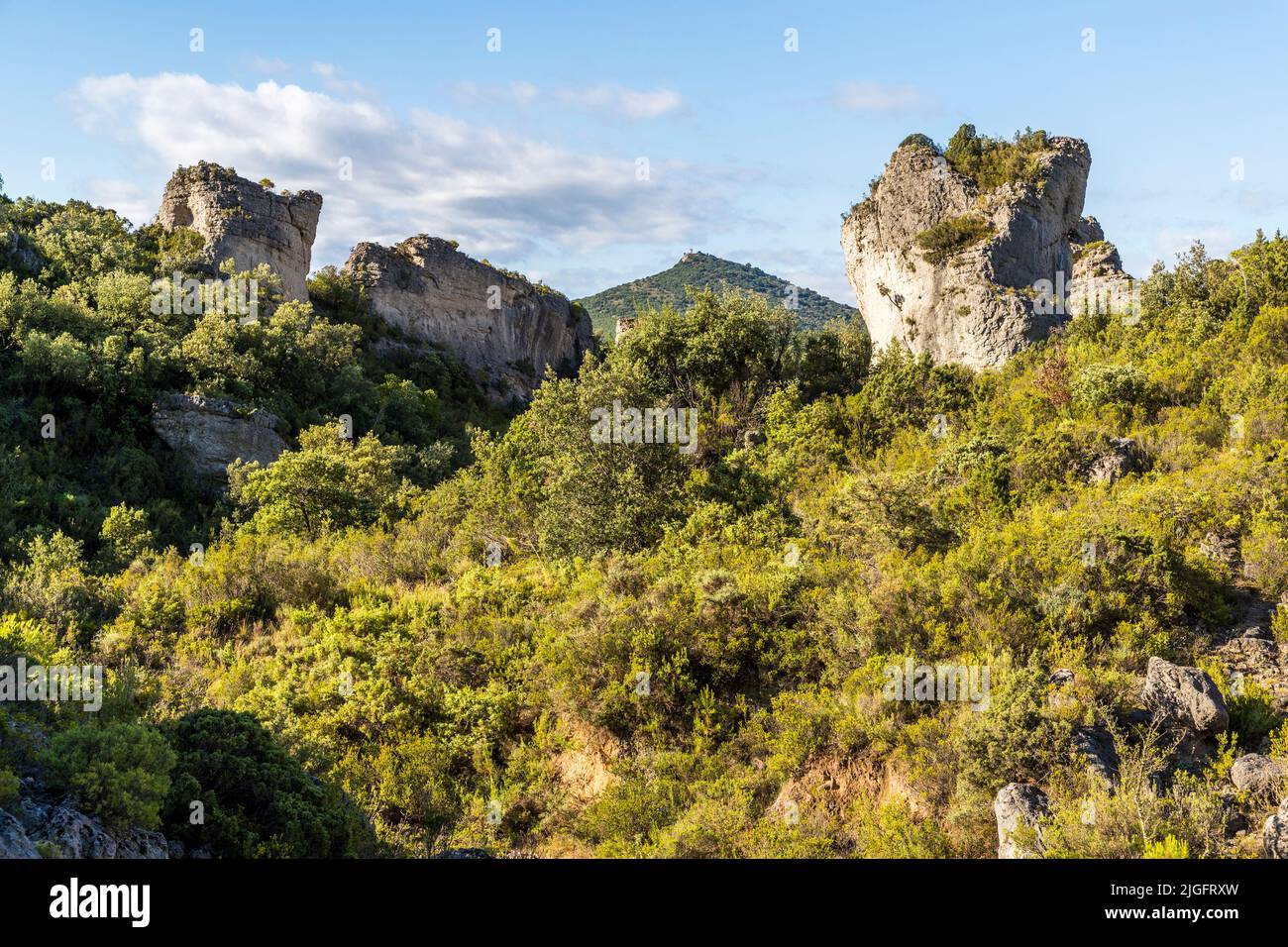 At the edge of the village od Mourèze (Lodève, France) is a spectacular dolomitic limestone outcrop known as the Cirque de Mourèze. South of Mourèze in the middle of a famous wine-growing area rises the Pic de Vissou, France Stock Photo