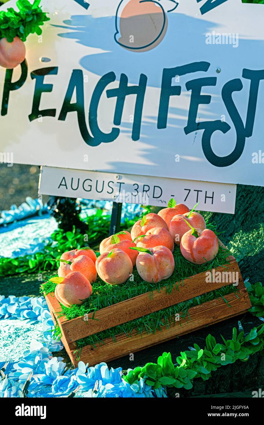 Annual peach (Prunus persica) festival in Canada Stock Photo